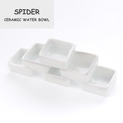 6 Pack Tarantula Ceramic Feeding Bowl Hermit Crab Small Water Bowl Spider Small Reptile Micro Ceramic Food Dish (Square Shape)