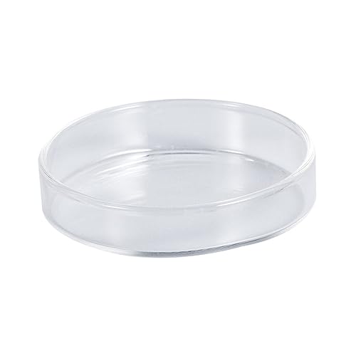 FOMIYES Clear Glass Shrimp Feed Dish for Fish and Reptiles Durable Crystal Feeding Bowl for Aquariums Smooth Surface Enhances Tank Aesthetics Multipurpose Use for Shrimp Fish and More