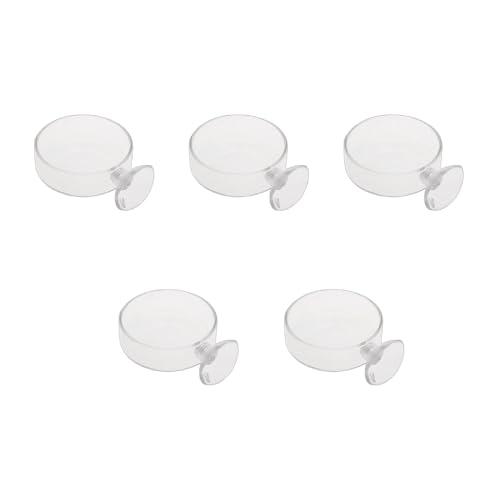 Fish for Tank Feeder Aquarium Shrimp Glass Feeding Bowl Clear Dish T Aquarium Fish Tank Landscaping Plant Landscape Fishtank Artificial Simulation Plant Biological Landscape Artificial