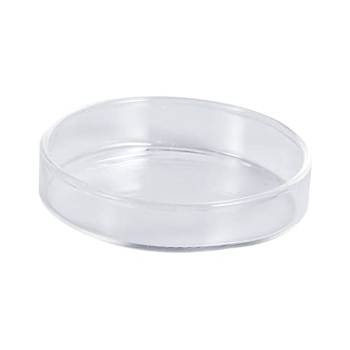 BESPORTBLE Clear Glass Shrimp Feeding Bowl Durable Crystal Dish for Fish Tank Floating Feeder for Shrimp and Fish Multi-Purpose Ornamental Supply for Aquatic Pets