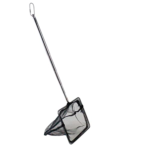 AQUANEAT Aquarium Net with Extendable Long Handle, Adjustable Wastes Skimming Cleaning Tools for Fish Tanks, 5 inch - size: 5 Inch