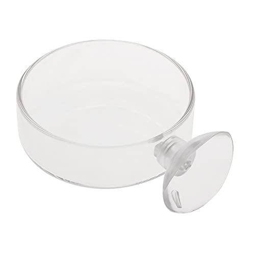 Fish for Tank Feeder Aquarium Shrimp Glass Feeding Bowl Clear Dish T Aquarium Fish Tank Landscaping Plant Landscape Fishtank Artificial Simulation Plant Biological Landscape Artificial