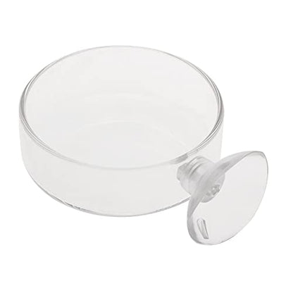 Fish for Tank Feeder Aquarium Shrimp Glass Feeding Bowl Clear Dish T Aquarium Fish Tank Landscaping Plant Landscape Fishtank Artificial Simulation Plant Biological Landscape Artificial