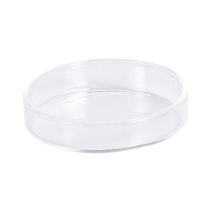 1pc Glass Shrimp Dish for Small Fish Feeder Bowl for Aquatic Pets and Reptiles Aquarium Aesthetics