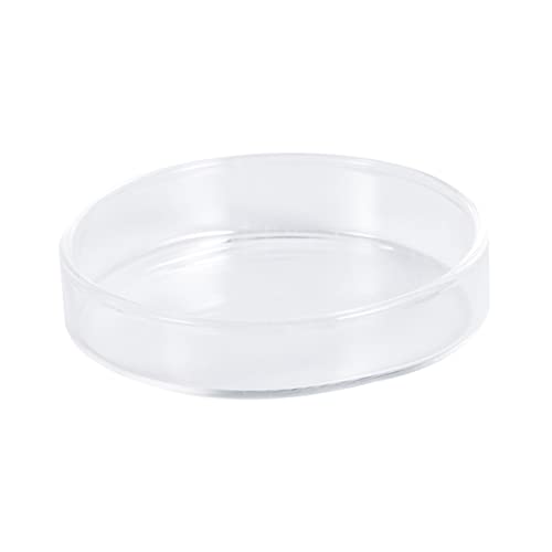 1pc Glass Shrimp Dish for Small Fish Feeder Bowl for Aquatic Pets and Reptiles Aquarium Aesthetics