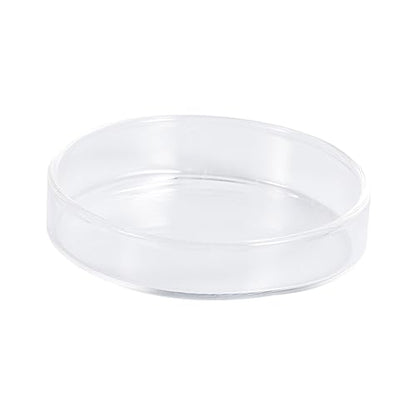BESPORTBLE 1pc Glass Shrimp Feeding Bowl Round Dish for Fish Tank Glass Feeder for Shrimp and Reptiles Elegant and Aquarium Supply