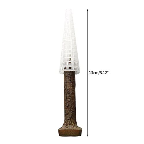 Aquarium Moss Decoration Fish for Holder Creating Your Own Trees Landscape Grow