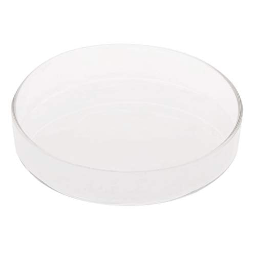 Glass Feeder Dish Wide Transparent Round Food Bowl for Cory Pleco Bottom Feeding Fish Shrimp Feeder Tube