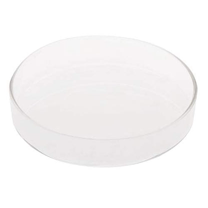 Shrimp Feeder Dish Glass Feeding Tray Aquarium Fish For Tank Reptiles Round Bowl 3.9in 3.5in 3.2in 3.0in 2.6in 2.4i Fish Tank Supplies Shrimp Feeder Tube Shrimp Feeder Dish Shrimp Feeder Dish And - size: X-Large