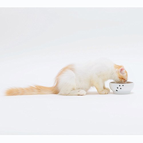 Necoichi Cat Food Bowl & Water Bowl - Shallow Wide Cute Cats Dish - Prevents Neck & Whisker Fatigue - Dishwasher & Microwave Safe - No Spill Ceramic Cat Bowl for Indoor Cats & Kittens (Paw Style) - color: Cat-