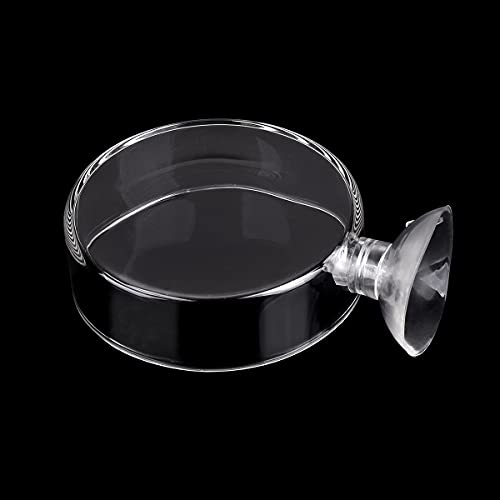 60mm Aquarium Shrimp Feeder Dish with Suction Glass Fish Tank Feeding Bowls Round Clear Dishes Tray