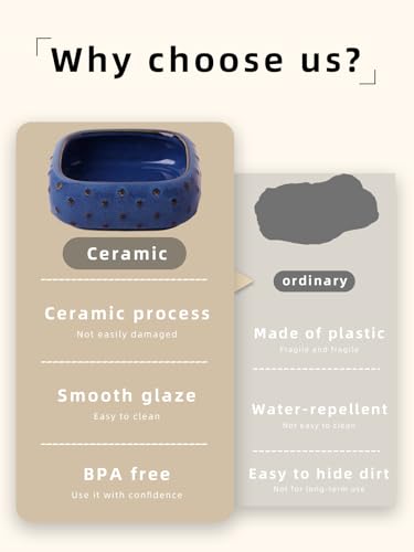 2-Pcs Ceramic Reptile Food Bowl, Mini Reptile Feeder (Farmhouse Blue) - color: Farmhouse Blue