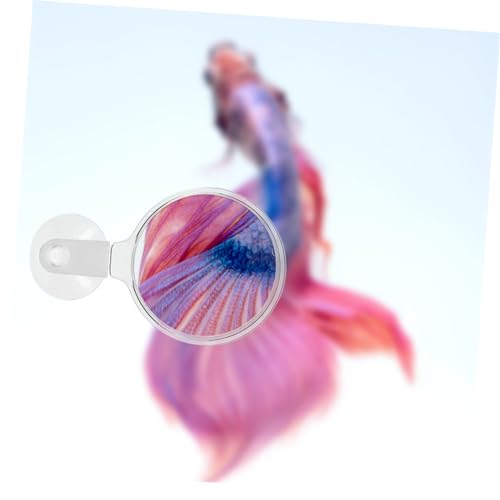 Hemoton Aquarium Glass Cup Microlandscape Viewer for Small Animals and Plants Design Observation Fish Tanks
