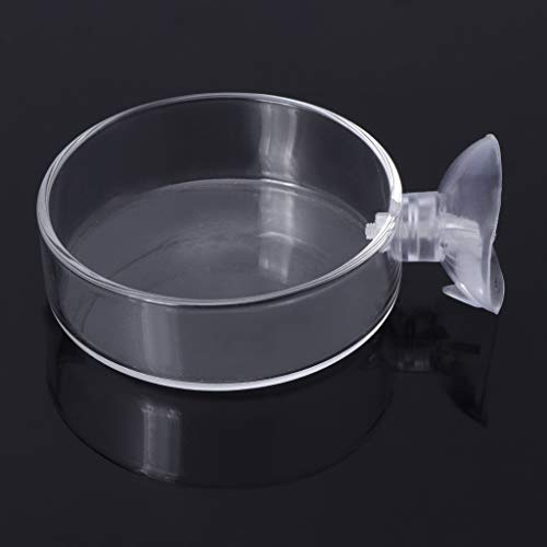 Glass Feeder Dish 2.4 Inches Wide 0.7 Inches Transparent Round Food Bowl for Cory Pleco Bottom Feeding Fish Aquarium Heater Light Thermometers Gravel Sand Decorations