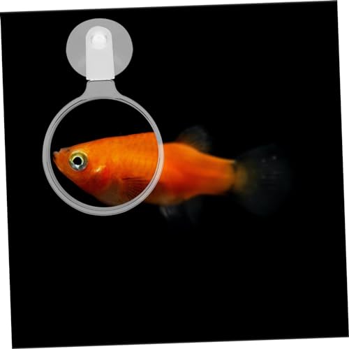Aquarium Magnifier Suction Cup Betta Fish Micro Landscape Educational Tool