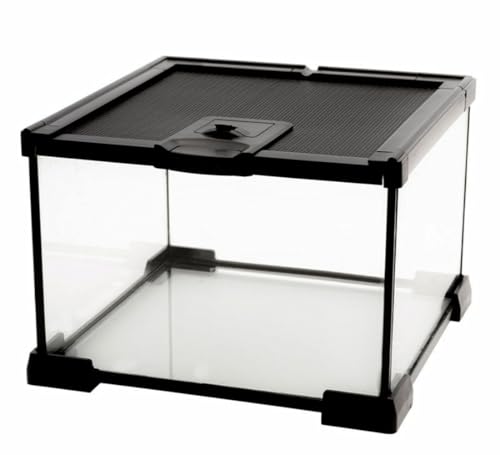 Mini Reptile Glass Terrarium Tank, cage for Tarantula Sling Geckos, Frog, Lizards, Chameleons,Turtles Snake Snail Insect Hermit Crab Isopods Reptiles Enclosure (7.9x7.9x5.7inch)