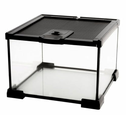 Mini Reptile Glass Terrarium Tank, cage for Tarantula Sling Geckos, Frog, Lizards, Chameleons,Turtles Snake Snail Insect Hermit Crab Isopods Reptiles Enclosure (7.9x7.9x5.7inch)