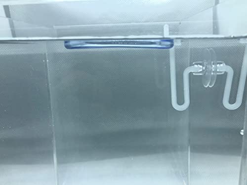 20+ Leaves Amazon Frogbit (+Free Bonus Plant +Invisible Feeding Ring) Live Floating Plant for Aquarium (Limnobium Laevigatum) by Aquarigram - size: Plants + Invisible Feeding Ring (see video)