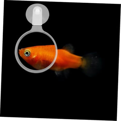 Acrylic Fish Tank Magnifying Viewer with Suction Cup High Transparency Magnifier for Small Animals Plants and Micro Landscapes Observation Aquariums