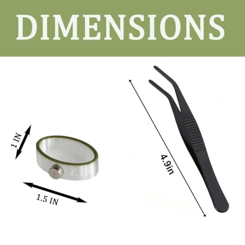 Jumping Spider Enclosure Accessories 3 Pcs Magnetic Feeding Bowl Set with Jumping Spider Feeding Tongs Removable Feeding Station Decor for Spider Terrarium