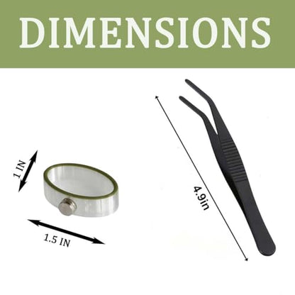 Jumping Spider Enclosure Accessories 3 Pcs Magnetic Feeding Bowl Set with Jumping Spider Feeding Tongs Removable Feeding Station Decor for Spider Terrarium