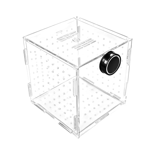Aquarium Breeding Box,Magnetic Fixation Acrylic Fish Tank Isolation Box with Feeding Hole for Fish Hatching Rearing
