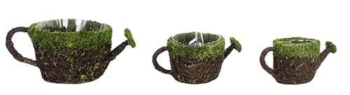 SuperMoss (55259) 5" Deco Watering Can Planter Basket, Small - size: Small
