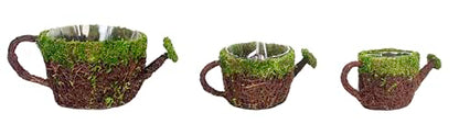 SuperMoss (55259) 5" Deco Watering Can Planter Basket, Small - size: Small