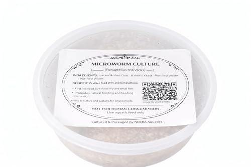 Live Microworm Starter Kit – Aquarium Fry Food Culture – Microworm Feed System with Tools & Media for Guppy, Betta, Nano Fish, Killifish (2 oz Microworm Kit)