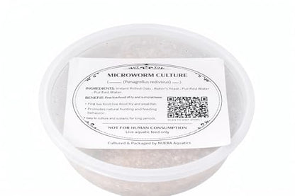 Live Microworm Starter Kit – Aquarium Fry Food Culture – Microworm Feed System with Tools & Media for Guppy, Betta, Nano Fish, Killifish (2 oz Microworm Kit)