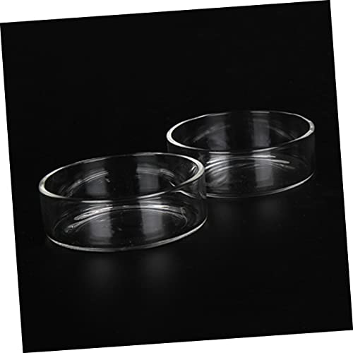 BESPORTBLE 3pcs Multipurpose Feeder Bowl Shrimp Food Dish for Aquarium Decorative and Safe for Pets