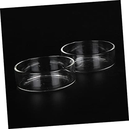 BESPORTBLE 3pcs Multipurpose Feeder Bowl Shrimp Food Dish for Aquarium Decorative and Safe for Pets