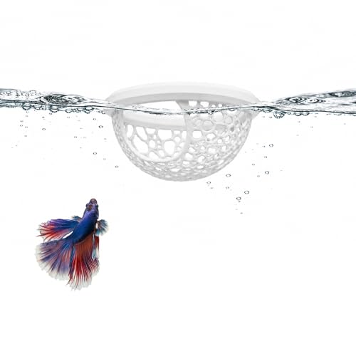 Floating Betta Fish Shrimp, Betta or Shrimp Feeder, Cave Hammock, Small Fish Feeding Rings, Aquarium Hiding Feeding Decorative Accessories Panda Prints Shrimp Dome (White)
