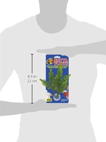 Zoo Med Laboratories AZMBP23 Betta Plant Salvia