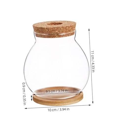 Toddmomy Transparent Glass Fish Tank with Lid for Betta Fish Compact Hydroponic Mini Aquarium for Desktop Office Decor with Mat View Design