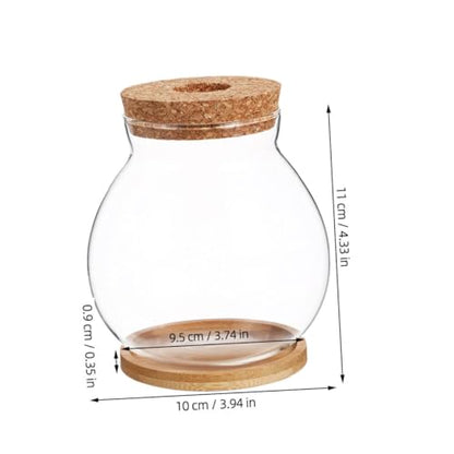Toddmomy Transparent Glass Fish Tank with Lid for Betta Fish Compact Hydroponic Mini Aquarium for Desktop Office Decor with Mat View Design