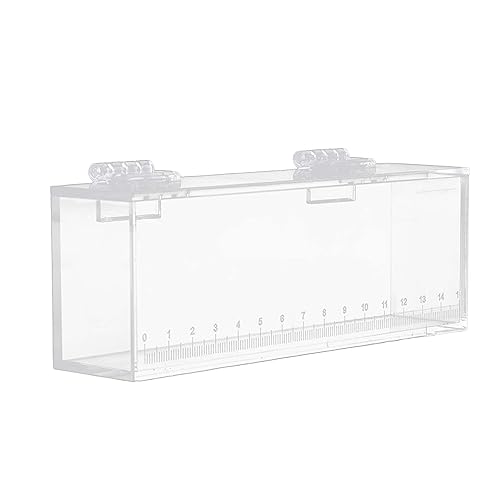 Fish Watching Case - Acrylic Hatchery Incubator & Observation Box for Small Fish Breeding Tanks, Photo Box, L - size: L