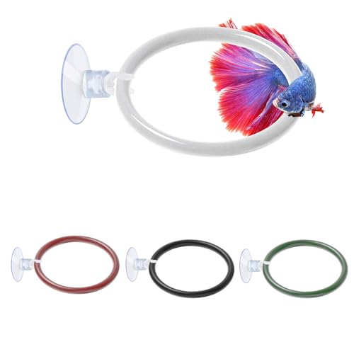4 PCS Betta Fish Exercise Ring, Soft Silicone Betta Training Loop with Suction Cup, Aquarium Feeding Rings Fish Enrichment Toys, ID 50 mm (Red, Green, White, Black)