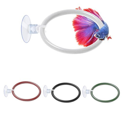 4 PCS Betta Fish Exercise Ring, Soft Silicone Betta Training Loop with Suction Cup, Aquarium Feeding Rings Fish Enrichment Toys, ID 50 mm (Red, Green, White, Black)