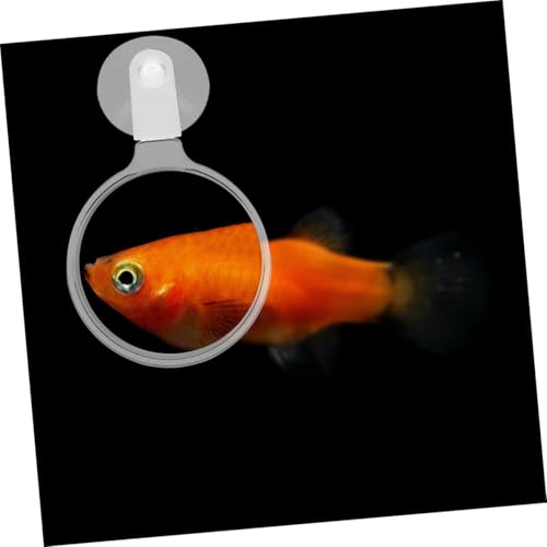 Didiseaon 4pcs Clear Acrylic Magnifier with Cup for Fish Tank Observation Lens for Plants and Animals Easy Installation and Use