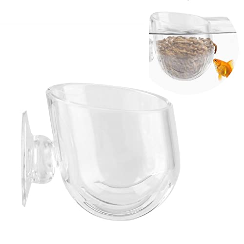 Aquarium Feeder Live Red Feeding Cone Cup Transparent Acrylic Fish Shrimp Feeder Crystal Glass Plant Feeding Container Holder with Suction Cups