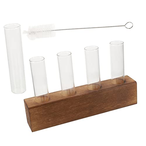 Abaodam Glass Flower Tubes Cleaning Brush Plant Terrarium Air Plant Holder for Home Decor