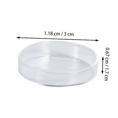 Toddmomy Clear Glass Shrimp Feed Dish Small Fish Feeding Bowl Durable Glass Feeder for Shrimp Fish and Reptiles for Aquariums and Home Decor