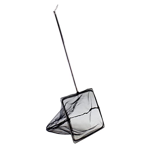 AQUANEAT Aquarium Net with Extendable Long Handle, Adjustable Wastes Skimming Cleaning Tools for Fish Tanks, 8 inch - size: 8 Inch