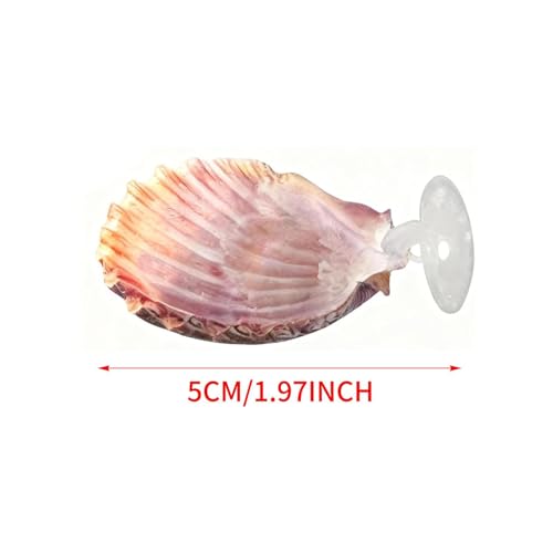 Betta Fish Bed, 4 Pieces Shell Shaped Resting Pads, Betta Resting Spot with Suction Cup for Aquarium Tank, Shrimp Breeding, Relaxation Cave, and Pet Store Display