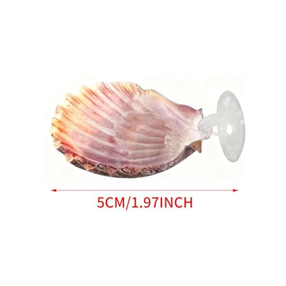 Betta Fish Bed, 4 Pieces Shell Shaped Resting Pads, Betta Resting Spot with Suction Cup for Aquarium Tank, Shrimp Breeding, Relaxation Cave, and Pet Store Display