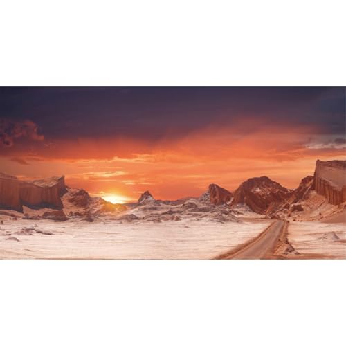 AWERT 72x18 inches Sun and Desert Terrarium Background Orange Reptile Habitat Background Durable Polyester Background - size: 72x18in/180x45cm