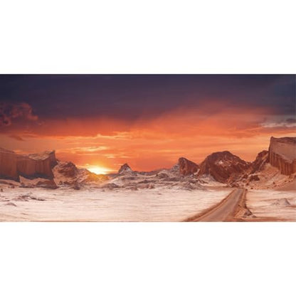 AWERT 36x20 inches Sun and Desert Terrarium Background Orange Reptile Habitat Background Durable Polyester Background - size: 36x20in/90x50cm