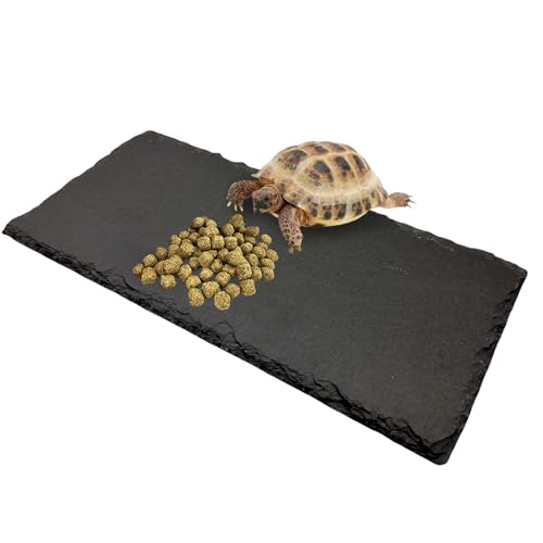 Reptile Basking Platform Tortoise Rock Plate 9.8’’x4.7’’ Feeding Food Bowl Slate Dish Turtle Bathing Resting Terrace for Lizard Bearded Dragon Chameleon Gecko Snake Frog Newt - size: 9.8x4.7inch-rectangle(1pcs)