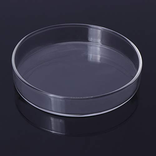 Shrimp Feeding Dish Clear Glass Bowls 3.9" .5" .2" 2.4" Round Tray Fish Tanks Aquarium Fish Feeders Food B Aquarium Feeding Tool Aquarium Feeding Dish - size: M